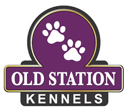 old station kennels logo